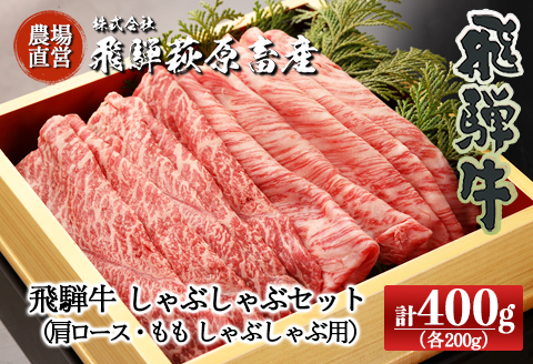 【冷凍】飛騨牛しゃぶしゃぶセット 計400g （もも 200g・肩ロース 200g）最高級 国産 牛肉 ブランド牛 和牛 しゃぶしゃぶ  【22-32】