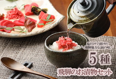 飛騨のお漬物 5種類セット 漬け物 飛騨 詰め合わせ【15-2】