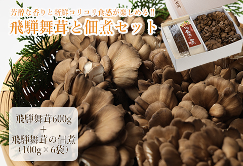 飛騨舞茸と佃煮のセット(飛騨舞茸 600g ・舞茸の佃煮 600g（100g×6袋））マイタケ まいたけ【60-1】 舞茸 600g＆佃煮