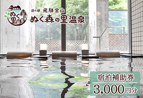 下呂温泉【道の駅 飛騨金山ぬく森の里温泉】宿泊補助券（3,000円分） 宿泊券 温泉 旅行 宿泊【a019-1】