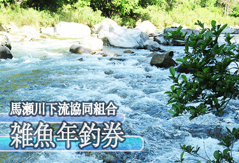 予約受付 (2026年1月から順次発送)【令和8年】馬瀬川下流 雑魚年釣券（２月21日(土)解禁） 渓流釣り アマゴ イワナ あまご いわな 2026年【26-5】 「馬瀬川下流」雑魚年釣券