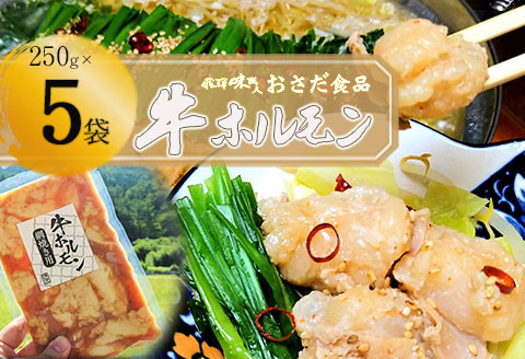 【飛騨 味職人】牛ホルモン 網焼き用（250g×5袋）牛肉 ホルモン BBQ 味付け 贈答 ギフト もつ鍋 飛騨 味職人【57-16】