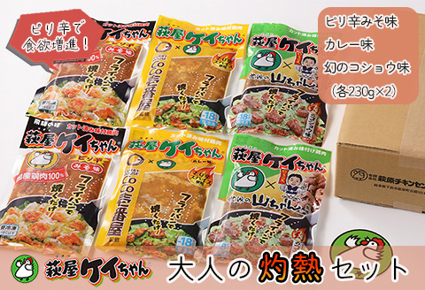 萩屋ケイちゃん 大人の灼熱セット　ピリ辛みそ味・カレー味・幻のコショウ味（各230g×2）計6パック 冷凍配送 けいちゃん 鶏ちゃん【10-8】