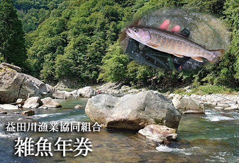 予約受付【令和8年】 (2026年2月から順次発送) 益田川雑魚年券 1枚 渓流釣り 釣り券 釣り つり 下呂市 つり券 あまご いわな 2026年【35-2】 益田川雑魚年券