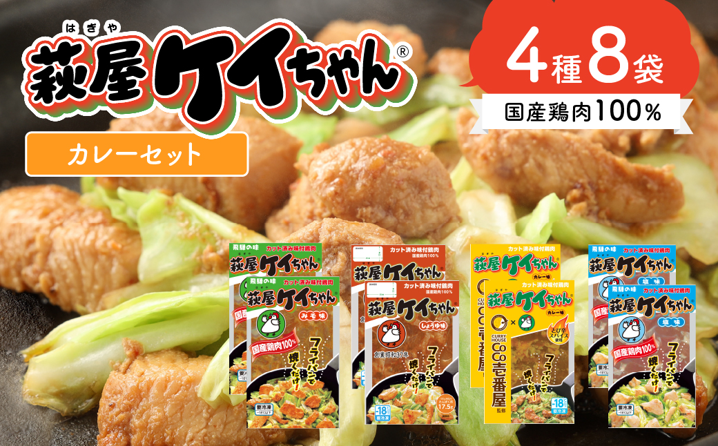 萩屋ケイちゃんスタンダードカレーセット　みそ味・カレー味・しょうゆ味・しお味（各230g×2）計8パック 冷凍配送 けいちゃん 鶏ちゃん【10-7】