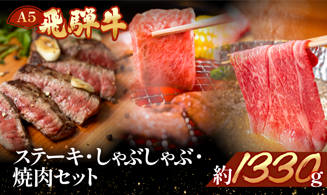 【冷凍】飛騨牛を味わいつくす!!ステーキ・しゃぶしゃぶ・焼肉セット 【ヒレ約230g(2枚)/サーロイン約180g(1枚)/リブロース460g/本日の希少部位460g】【11-58】