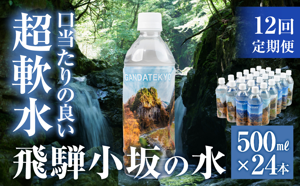 【定期便 12回】飛騨小坂の水（ナチュラルミネラルウォーター）500ml×24本（1箱24本入り）× 12カ月 超軟水 軟水 水 保存水 下呂市 小坂 飛騨【110-C】