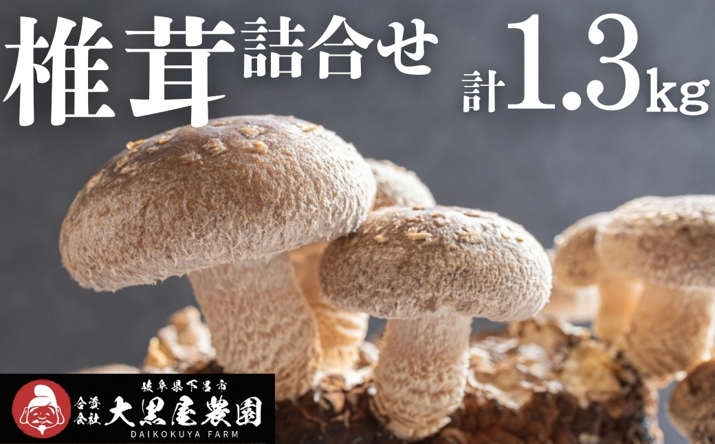  菌床生椎茸  詰め合せセット（4パック＋3袋）7品 　計1.3kg  生椎茸 しいたけ シイタケ 生しいたけ 下呂温泉 【大黒屋農園】【119-1】 椎茸 計1.3kg