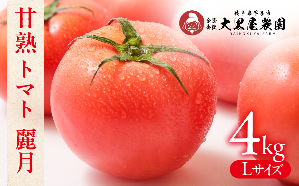 先行予約（2026年7月上旬頃から順次発送）大黒屋農園 甘塾トマト 麗月 Ｌサイズ 4kg レイゲツ とまと 下呂市 期間限定【大黒屋農園】【119-4】 トマト Ｌサイズ 4kg
