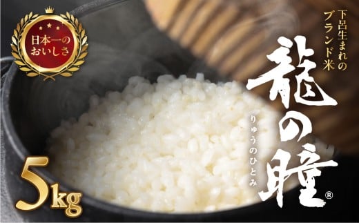 【2025年産米】5kg×1 飛騨産・龍の瞳（いのちの壱）株式会社龍の瞳直送 米 令和7年産 精米【14-14】 【2025年産米】5kg×1