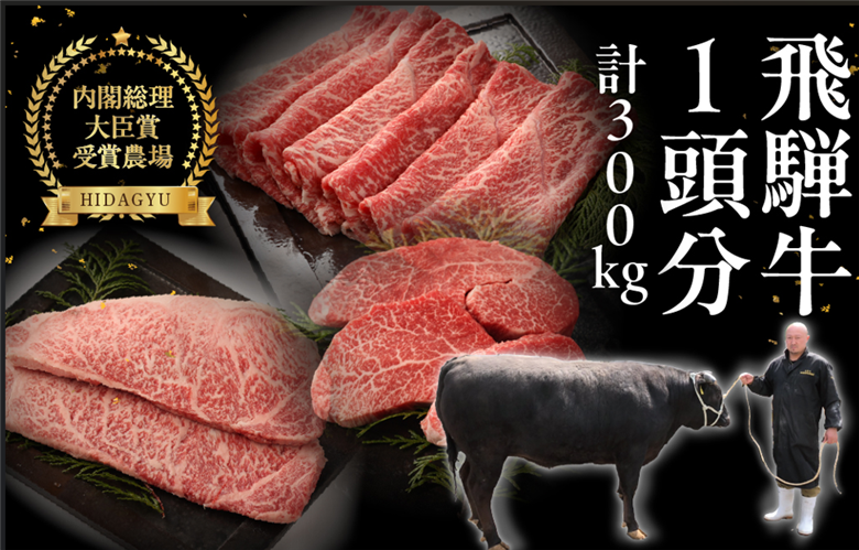 【定期便】飛騨牛一頭分食べつくし（最大 36回）総重量 約300kg 牛肉 ブランド牛 お肉 肉 飛騨萩原畜産 肉贈 定期 牛 一頭【22-C】