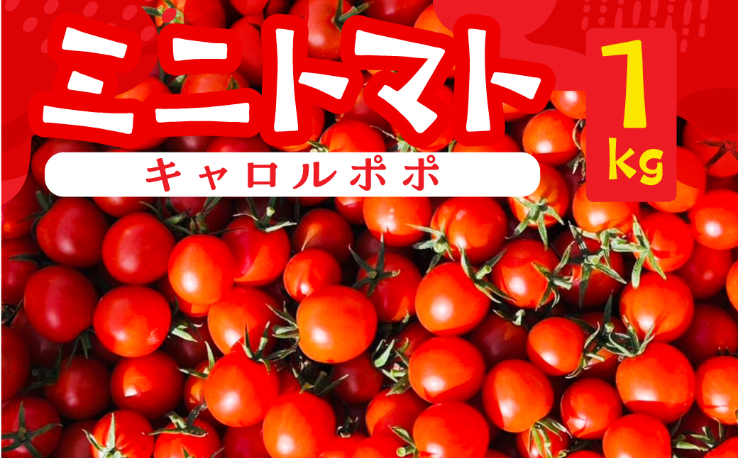 先行予約（2026年8月上旬頃から順次発送）ミニトマト（キャロルポポ） 1kg ミニトマト 夏季限定 期間限定 限定 1キロ 飛騨 下呂  とまと トマト 新鮮 国産 野菜【27-9】