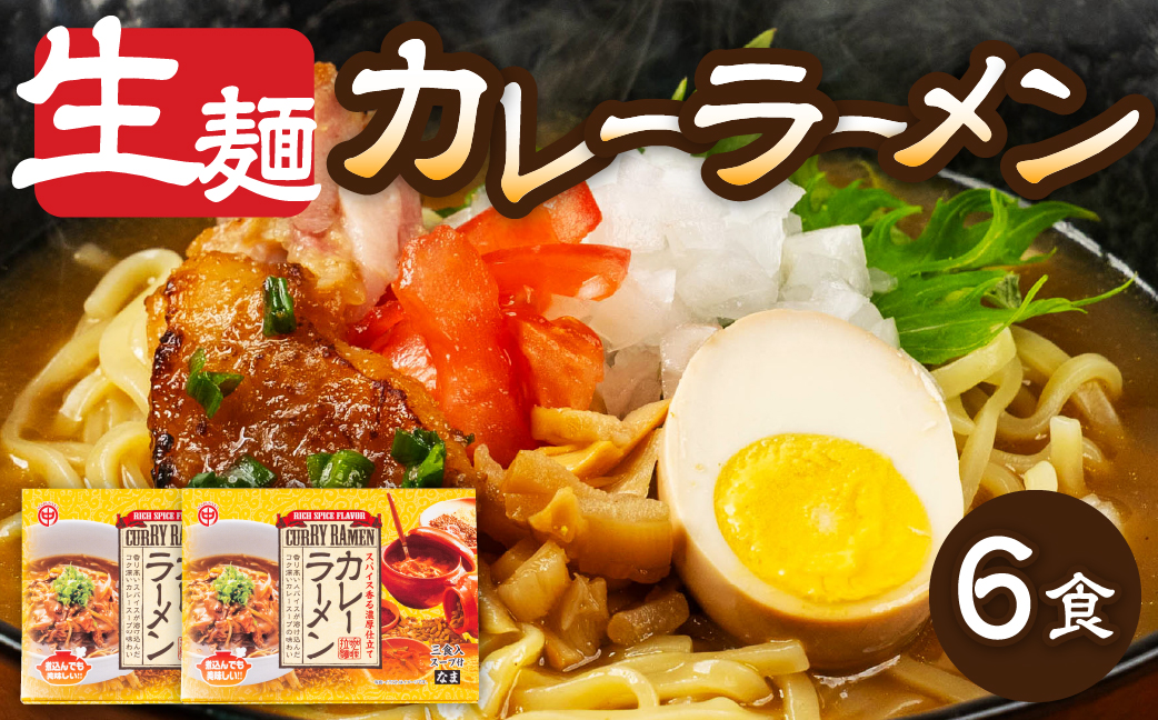カレーラーメン 3食（100g×3 スープ付）×2箱 計6食【丸中製麺所】ラーメン 自家製麺 飛騨 下呂市 カレー 生麺 生めん【29-14】 カレーラーメン 6食