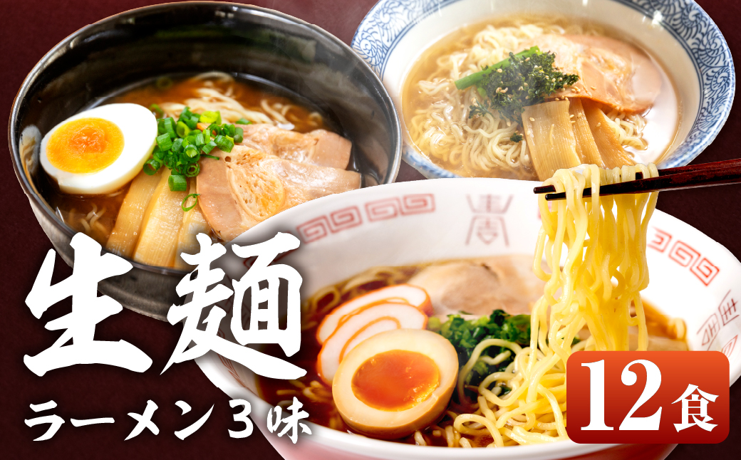 【訳あり】飛騨高山らーめん３味セット 12食（醤油 2食×2袋、味噌 2食×2袋、塩 2食×2袋）【丸中製麺所】ラーメン 高山ラーメン 自家製麺 飛騨 下呂市 ラーメン しょうゆ みそ 塩 セット 訳アリ わけあり【29-5】 飛騨高山らーめん３味セット 12食