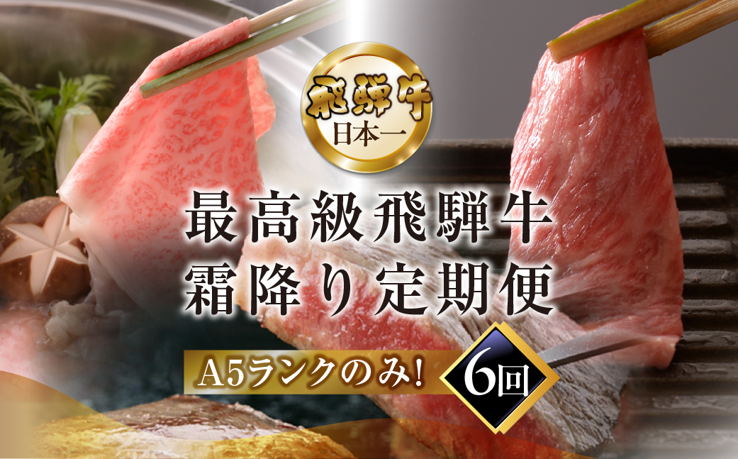 【定期便 6回】高級 飛騨牛食べ比べ 定期便 6カ月 毎月 【冷蔵配送】 定期 贈答 ギフト 牛肉 焼き肉 牛 下呂 焼肉 ブランド牛 下呂魚介【39-A】