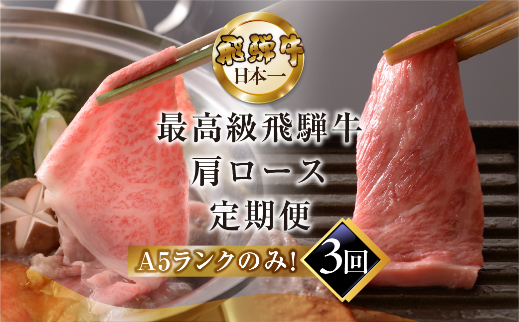 【定期便 3回】高級 飛騨牛食べ比べ 定期便 3カ月 毎月 【冷蔵配送】 定期 贈答 ギフト 牛肉 焼き肉 牛 下呂 焼肉 ブランド牛 下呂魚介【39-B】