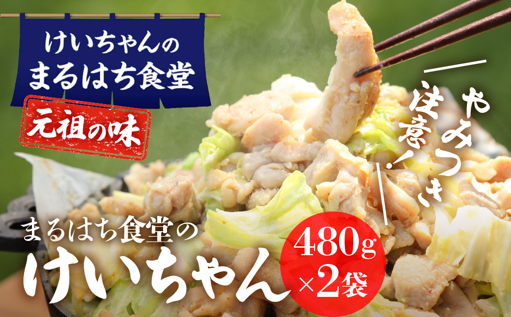 鶏ちゃん発祥の名店「まるはち食堂」こだわり抜かれた下呂の味！！けいちゃん 480g×2 けいちゃん 鶏ちゃん ケイちゃん けーちゃん ケーちゃん 下呂市 下呂温泉 まるはち まるはち食堂【48-1】