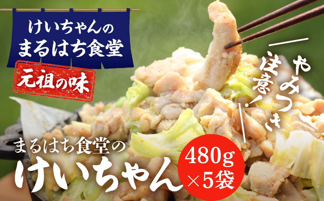 鶏ちゃん発祥の名店「まるはち食堂」こだわり抜かれた下呂の味！！けいちゃん 480g×5  けいちゃん 鶏ちゃん ケイちゃん けーちゃん ケーちゃん 下呂市 下呂温泉 まるはち まるはち食堂【48-2】