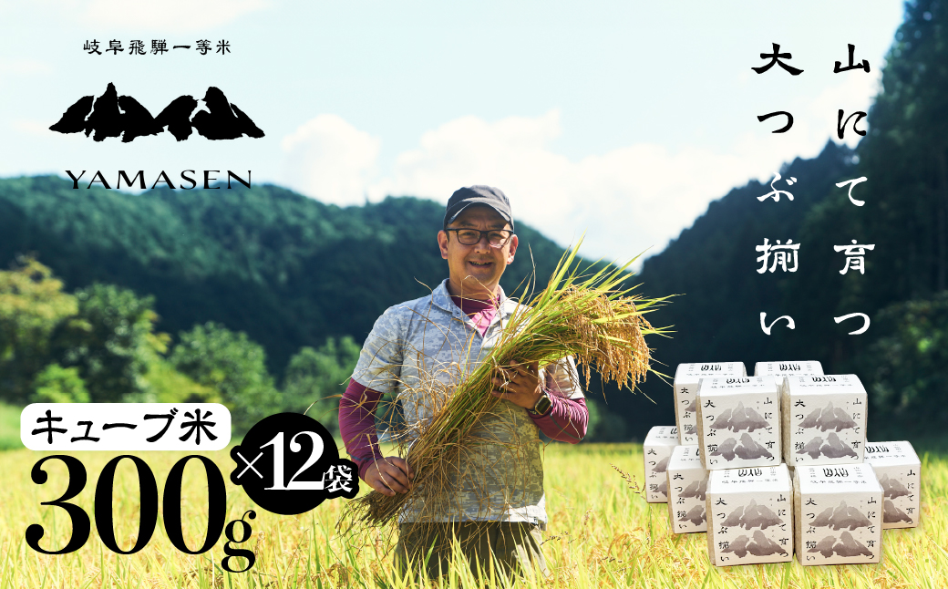 【令和7年産米】すがたらいす 山仙 (いのちの壱) キューブ米 12個 （1個 300g（2合））真空包装 プチギフト ギフト 小分け お裾分け 下呂市金山産 2025年産 お米 精米 米 いのちのいち やません ブランド米【51-24】 山仙 (いのちの壱) キューブ米 12個 （1個 300g（2合）)