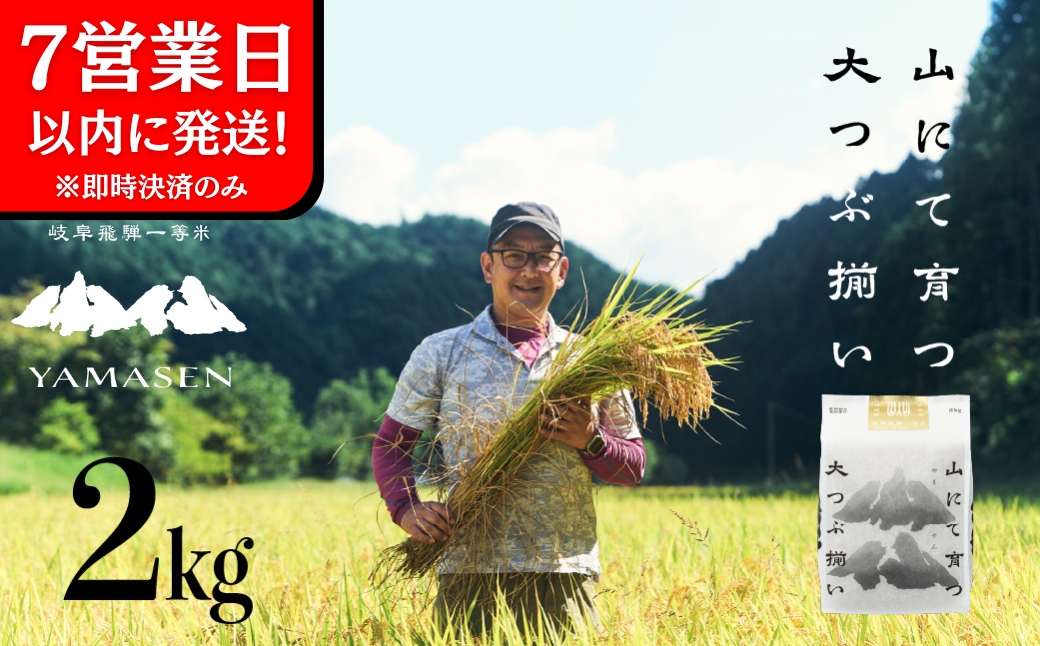即納【令和7年産米】すがたらいす 山仙 (いのちの壱) 2kg×1袋 米 すがたらいす 下呂市金山産 2キロ 米 2025年産 お米 精米 米 いのちのいち やません【51-27】 山仙 (いのちの壱) 2kg×1
