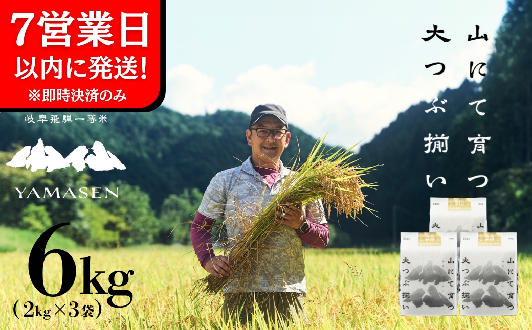即納【令和7年産米】すがたらいす 山仙 (いのちの壱) 2kg×3袋 米 すがたらいす 下呂市金山産 6キロ 米 2025年産 お米 精米 米 いのちのいち やません【51-29】 山仙 (いのちの壱) 2kg×3