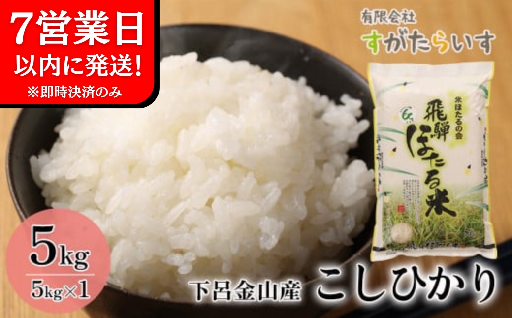 即納【令和7年産米】こしひかり 5kg すがたらいす 2025年産 お米 米 精米 下呂市金山産 コシヒカリ【51-5】 【令和7年産米】こしひかり 5kg