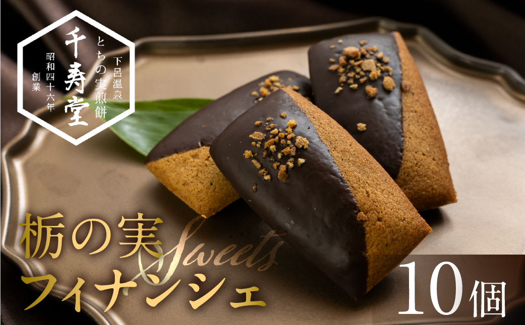 栃の実ショコラフィナンシェ 10個 お菓子 チョコ 贈答 ギフト ショコラ ココア フィナンシェ おすすめ とちのみ 栃の実 焼菓子 洋菓子【6-10】