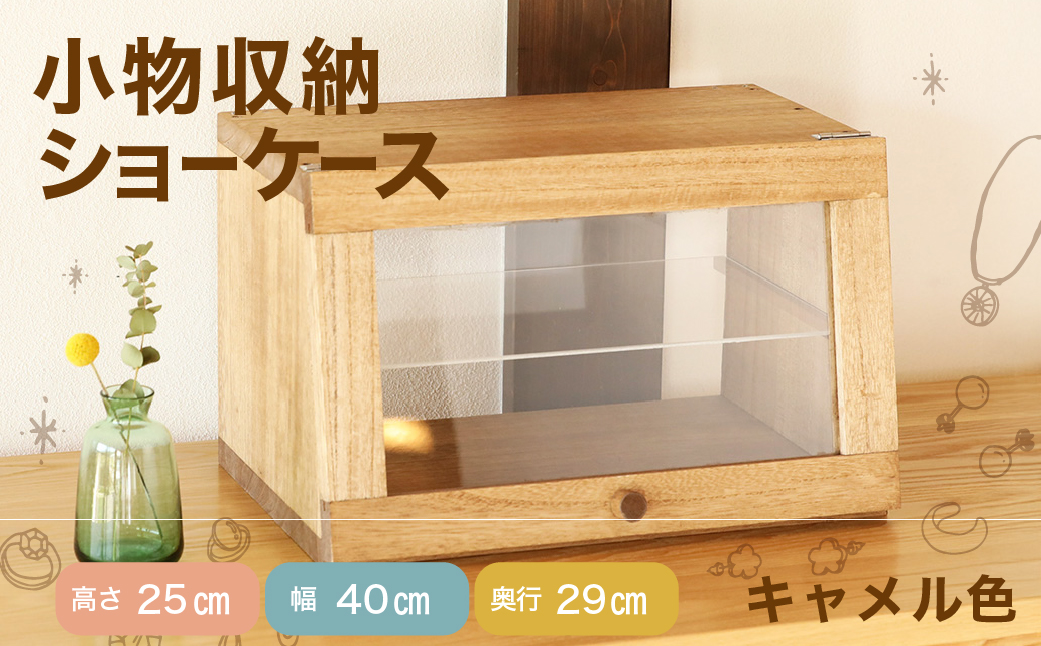 ショーケース（高さ25㎝　幅40㎝　奥行29㎝）棚 飾り棚【62-19】