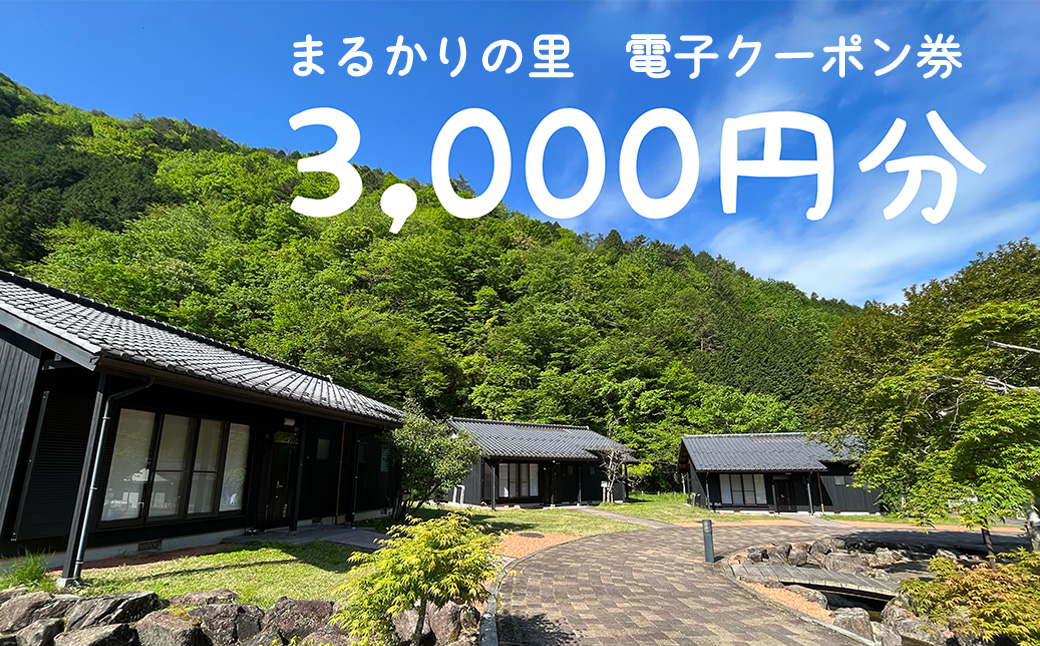【電子クーポン券】まるかりの里キャンプ場 宿泊利用（3,000円分）下呂市 アウトドア バーベキュー 割引券 宿泊 クーポン まるかり 宿泊券 利用券 電子クーポン 電子【75-4】