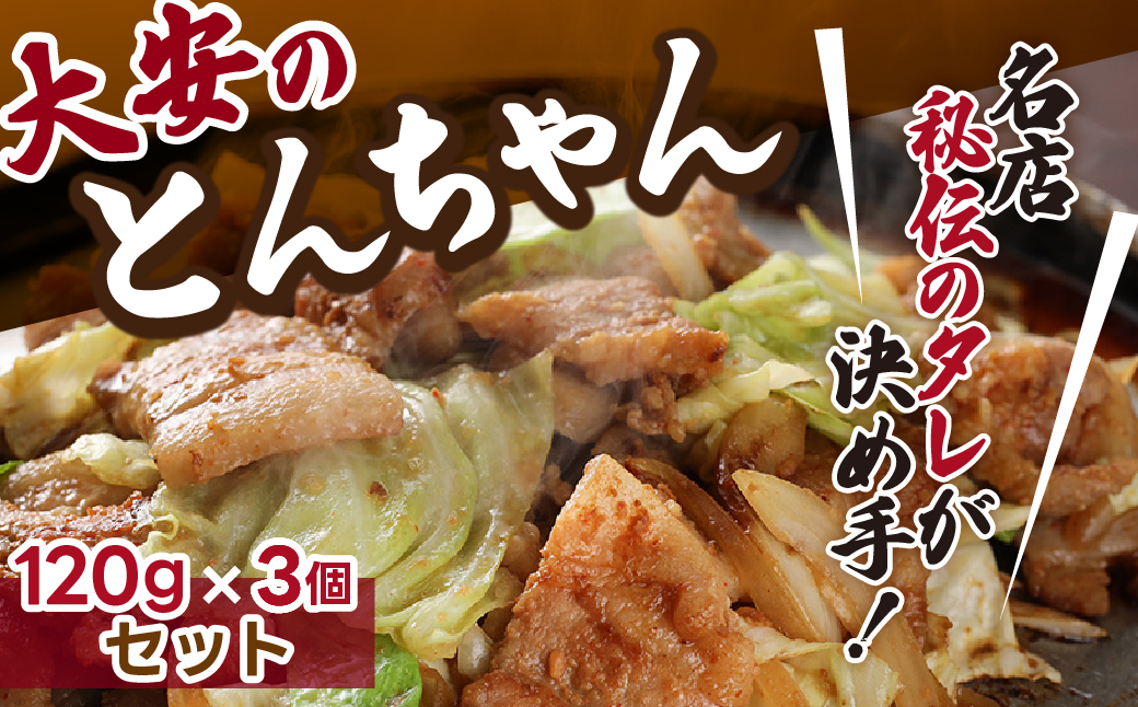 ＼昔ながらの大衆食堂の味！！／【大安のとんちゃん】3個セット 120g×3袋（計360g） 大安食堂 冷凍配送 下呂市 トンちゃん トンチャン 郷土料理 豚肉 味付け【90-1】 120g×3袋（計360g）
