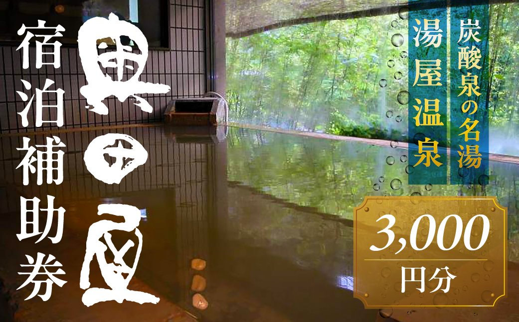 湯屋温泉 【奥田屋】宿泊補助券（3,000円分）旅館 温泉 旅行 下呂市 宿泊券 小坂【a028-1】 【奥田屋】宿泊補助券（3,000円分）