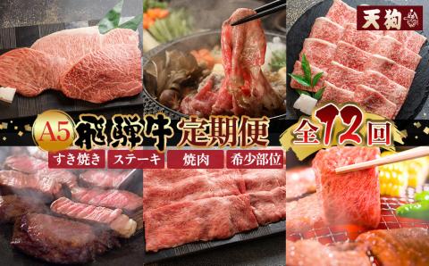 [定期便 12回] A5 飛騨牛 天狗 牛肉 (ステーキ / 焼き肉 / すき焼き /希少部位 赤身 / 霜降り) 1年間 お楽しみ サーロイン カルビ イチボ ランプ もも 肩ロース肉 [11-O]