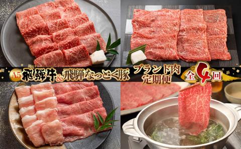 [定期便 4回] 飛騨牛 & なっとく豚 定期便 4回 牛肉 / 豚肉 食べ比べ (焼肉 / すき焼き / しゃぶしゃぶ / 豚しゃぶ) 下呂温泉 おすすめ ブランド牛 赤身 霜降り[tc1]