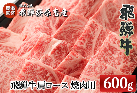 [冷凍]飛騨牛肩ロース 600g(焼肉用)牛肉 国産 ブランド牛 [22-19[1]]