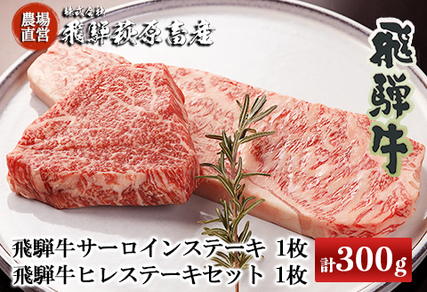[冷凍]2種類の部位を食べ比べ!飛騨牛ステーキセット (サーロイン 200g×1枚・ヒレ 100g×1枚)最高級 国産 牛肉 和牛 ブランド牛 [22-21]
