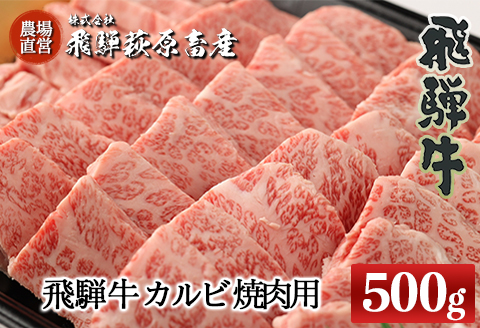 [冷凍]飛騨牛カルビ焼肉用(500g)最高級 国産 牛肉 ブランド牛 和牛 [22-24]