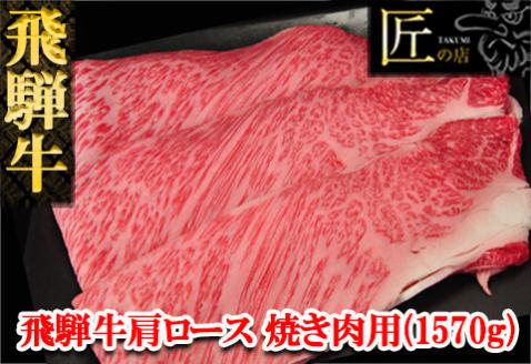 [冷凍]飛騨牛肩ロース焼肉セット 1570g 焼き肉 牛 牛肉[11-47]
