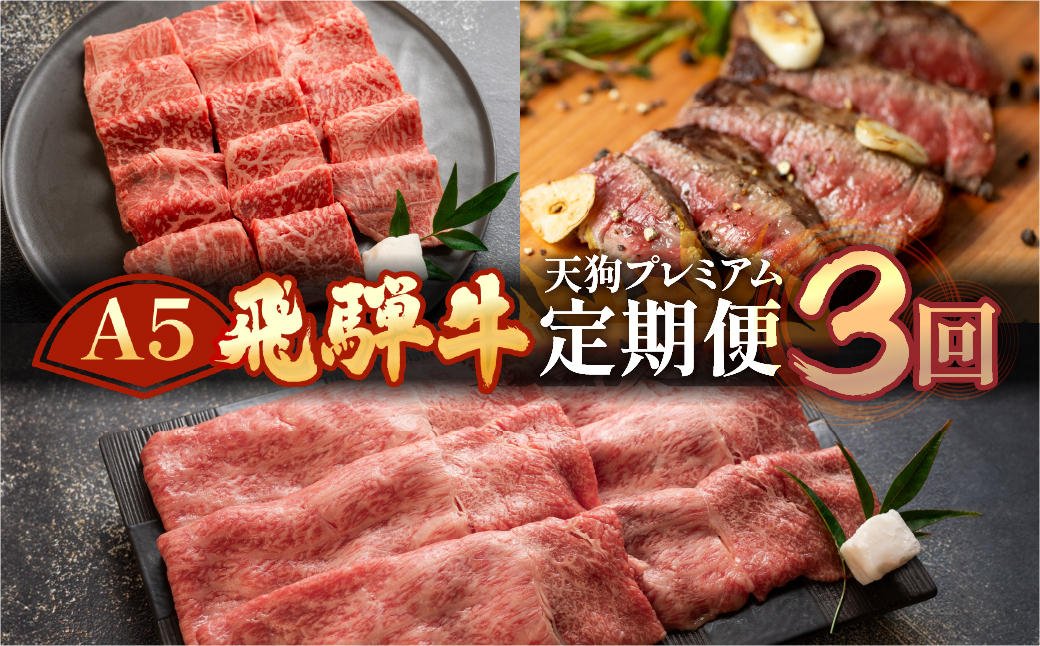 [定期便3回] A5 飛騨牛 天狗 (ステーキ / すき焼き / 焼肉) 牛肉 赤身 霜降り 希少部位 もも 肉 下呂温泉 おすすめ 牛肉 ブランド牛 肉ギフト[11-M]