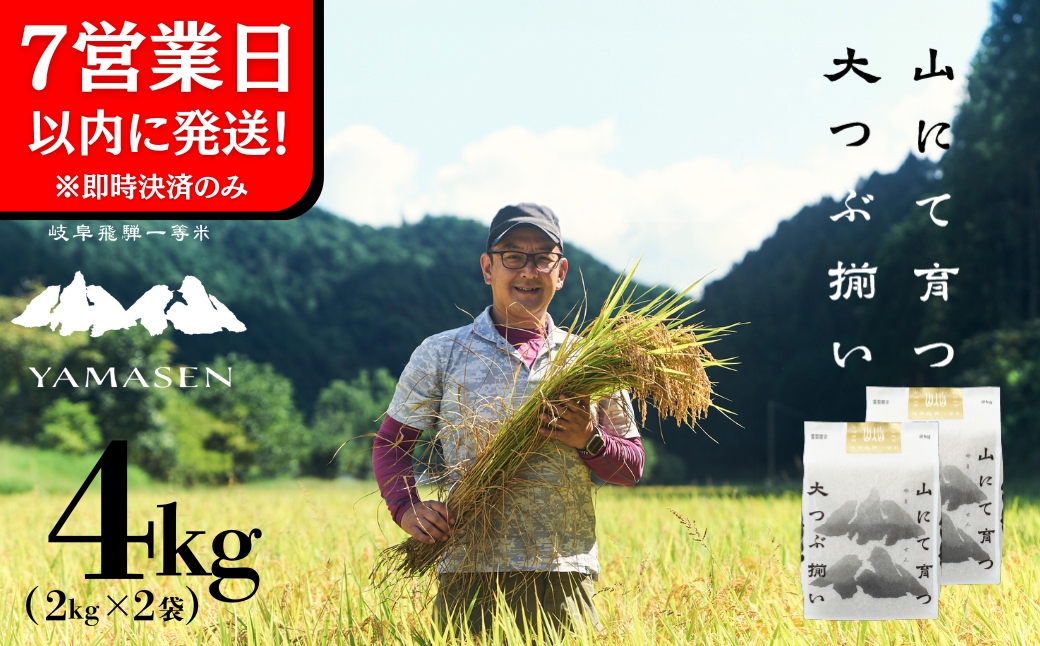 即納【令和7年産米】すがたらいす 山仙 (いのちの壱) 2kg×2袋 米 すがたらいす 下呂市金山産 4キロ 米 2025年産 お米 精米 米 いのちのいち やません【51-28】