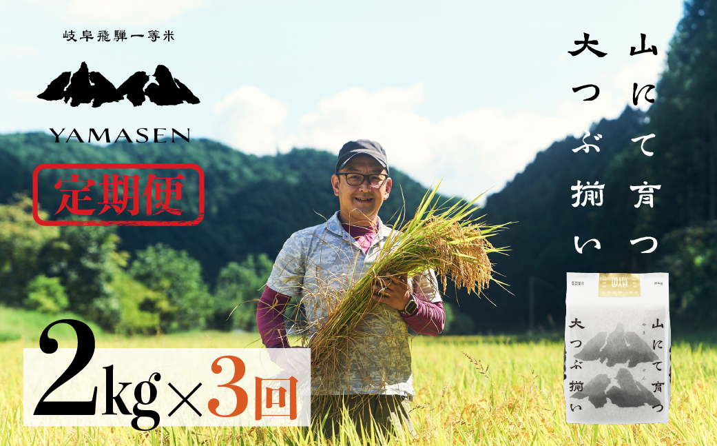 令和6年産米[定期便]山仙(いのちの壱)2kg×3回 定期 すがたらいす 下呂市金山産 2024年産 毎月 2キロ×3カ月 お米 精米 下呂温泉 下呂市 米 ブランド米[51-E]