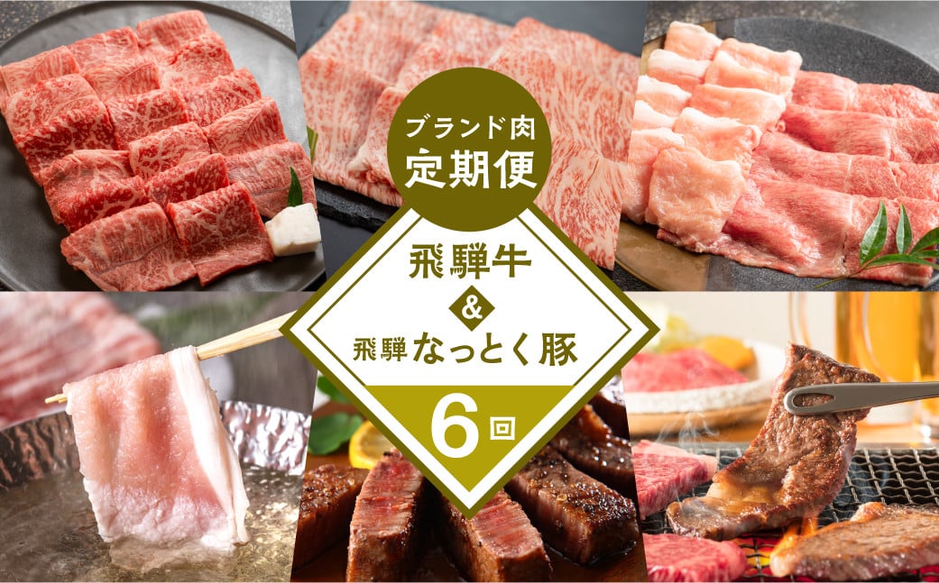 [定期便6回] 飛騨牛&なっとく豚 ブランド肉 定期便 6回 牛肉 豚肉 (ステーキ / すき焼き / しゃぶしゃぶ / 焼き肉) カルビ イチボ お楽しみ 下呂温泉 おすすめ ブランド[tc2]