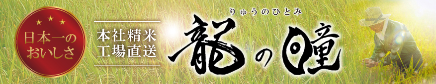 2025年産 龍の瞳