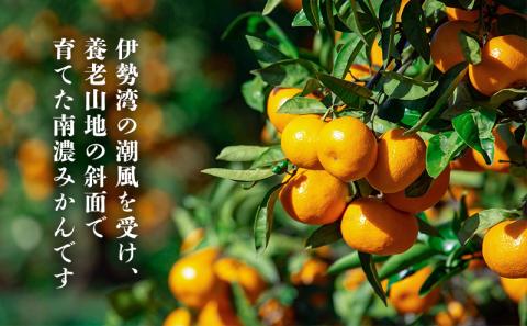 南濃みかん10kg みかん 果物類 柑橘類 ミカン フルーツ