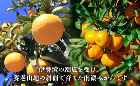 南濃みかんと八朔セット 10kg みかん 八朔 みかん はっさく 果物類 柑橘類 ミカン フルーツ レモン 檸檬