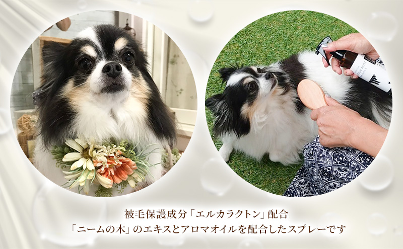 【犬用】プロテインミスト　200ml（ふんわりサラサラの仕上がり・アーユルニームシャンプーとセットで使うと効果的）