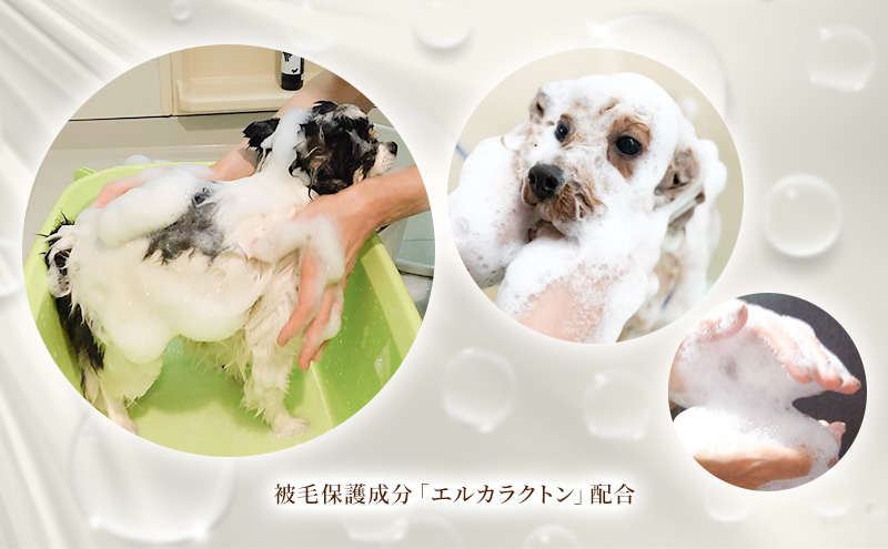 【犬用】アーユルニームシャンプー 200ml・詰替用 400ml・プロテインミスト 50ml・ 200ml・詰替用 400ml セット