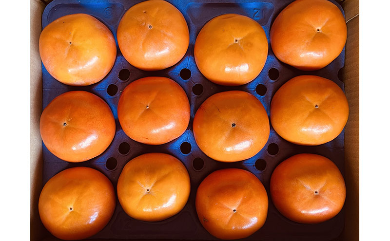 ハリヨファームの 富有柿 （完熟甘柿） 12個　柿 完熟 甘柿 果物 果実 秋の味覚 フルーツ おやつ デザート 旬 除草剤不使用 有機肥料使用 国産 岐阜県産 産地直送