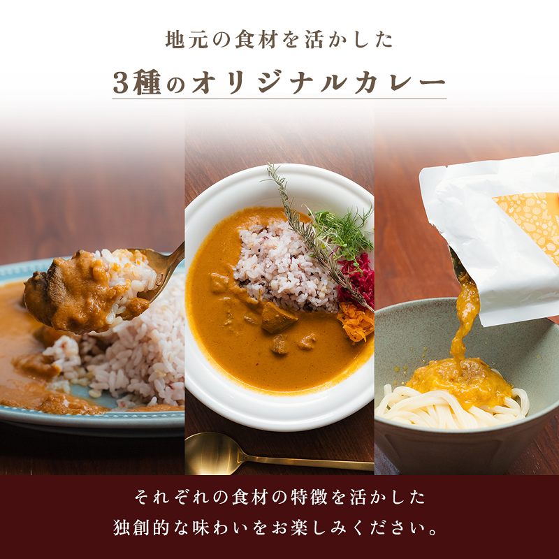 オリジナルご当地三種カレー詰め合わせ (南濃みかん・バターチキンカレー・鹿肉トマト) カレー ご当地カレー 詰め合わせ セット 岐阜 海津市
