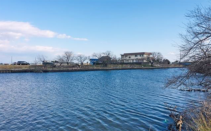 遊漁承認証（年釣券）