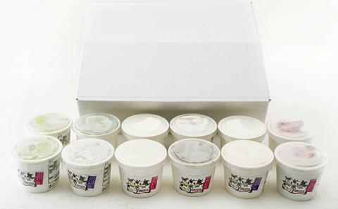 オリジナルジェラートアイス12個セット（9種）